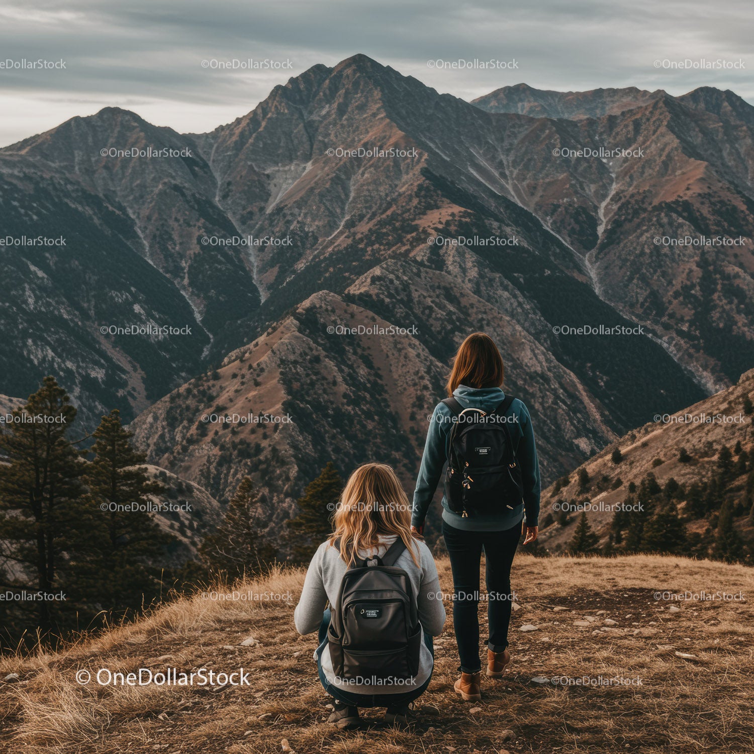 Scenic Mountain Landscape with Two Hikers Exploring Wilderness