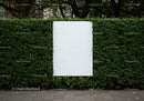 Blank white poster on vibrant green hedge outdoors