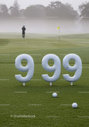 Golf course with 999 golf ball number markers