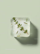 Herb sprig frozen in a transparent ice cube