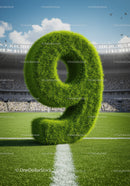 Green Grass Number Nine on Football Field