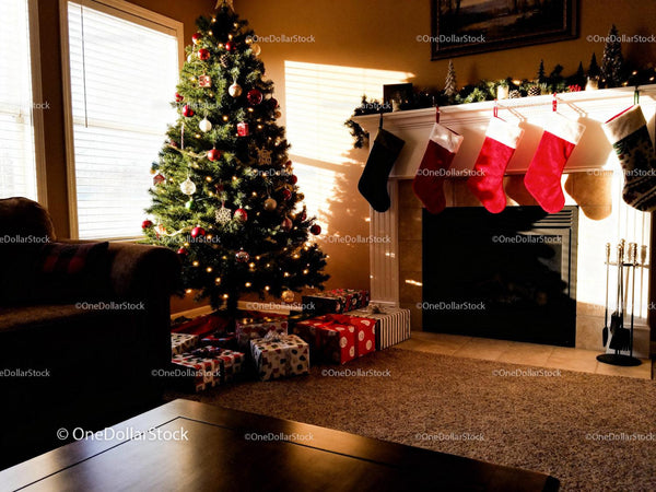 Cozy Living Room with Christmas Tree and Stockings