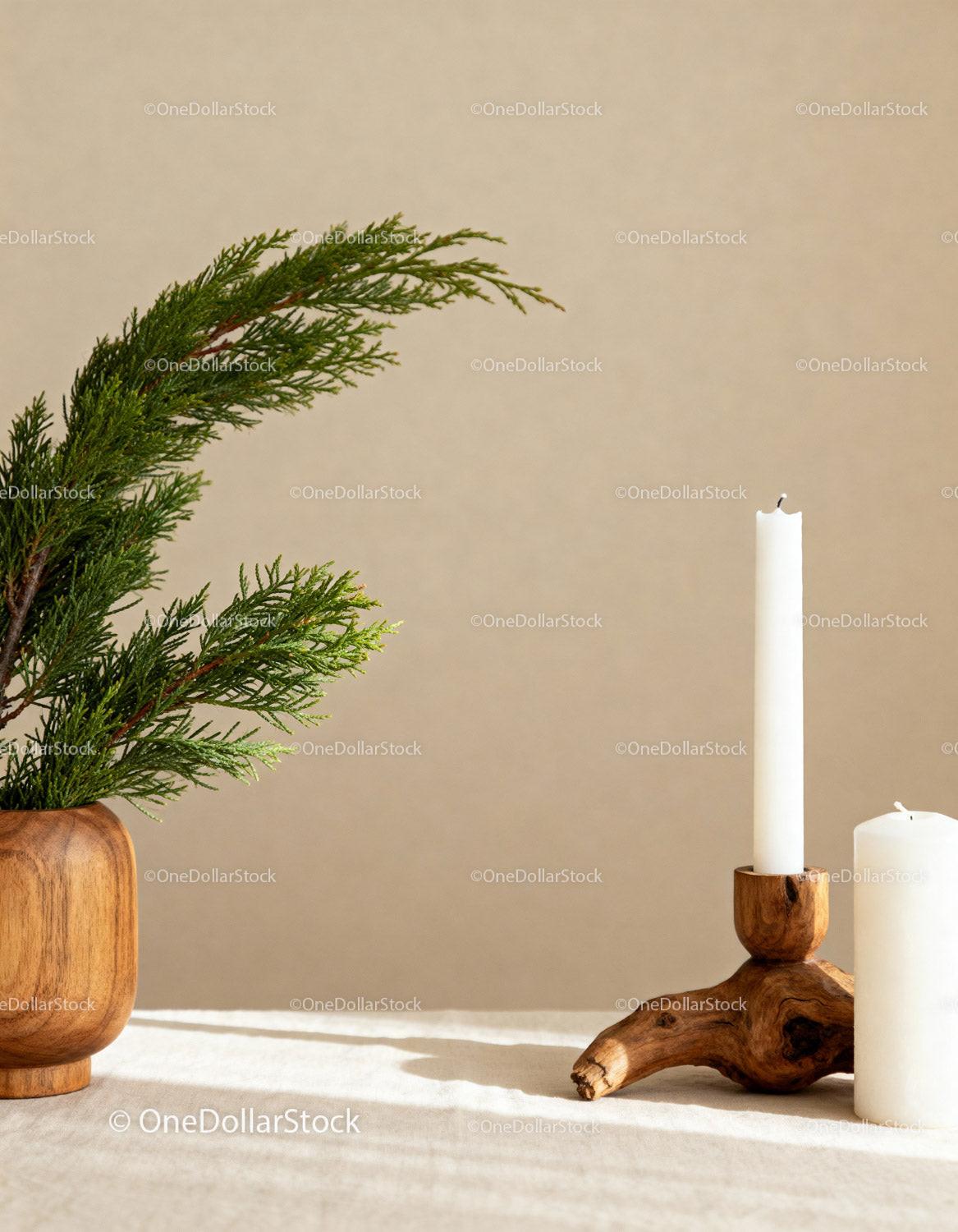 Minimalist natural decor with greenery and candles