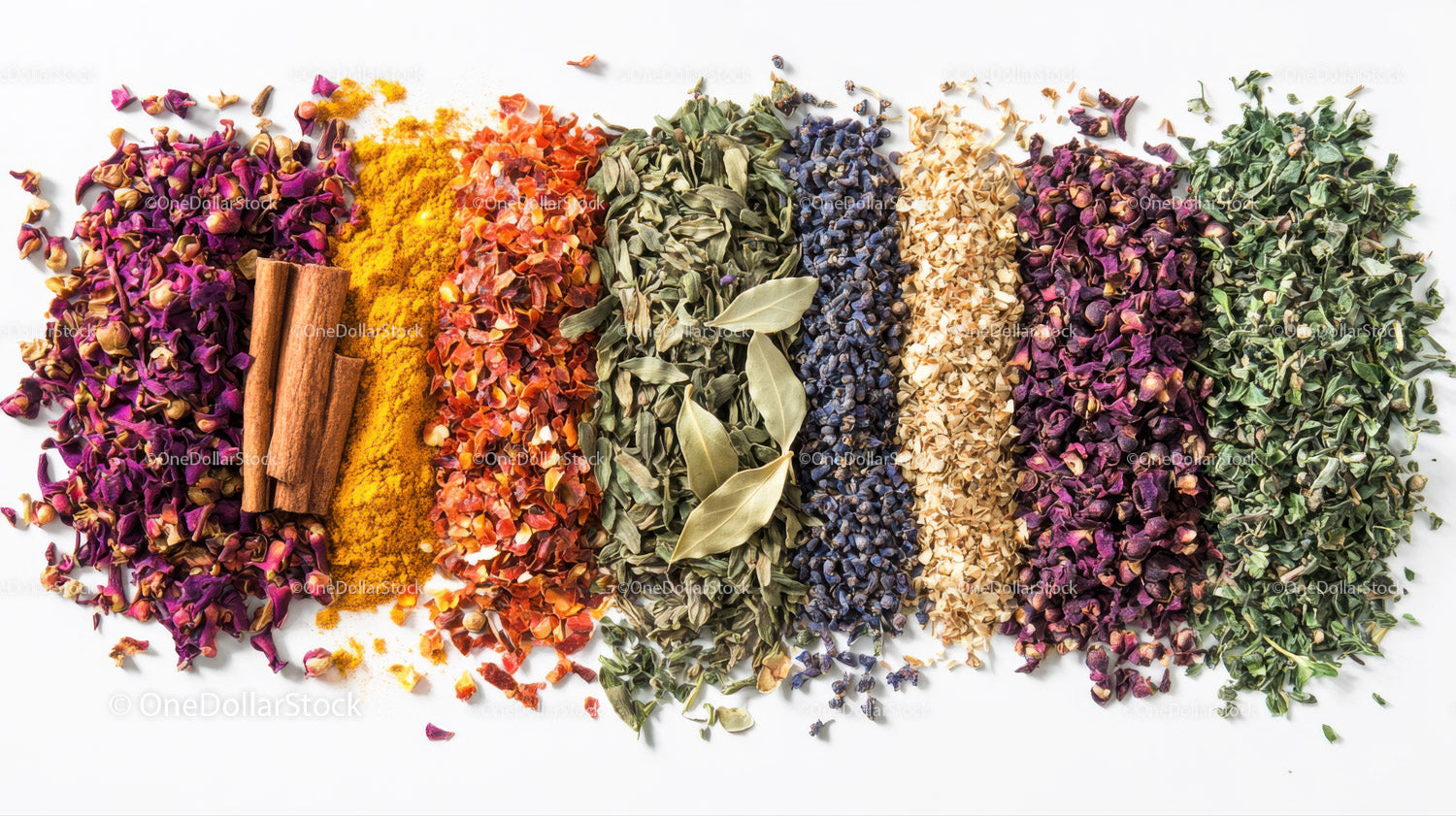 Colorful Herbs and Dried Flowers Collection with Cinnamon Sticks