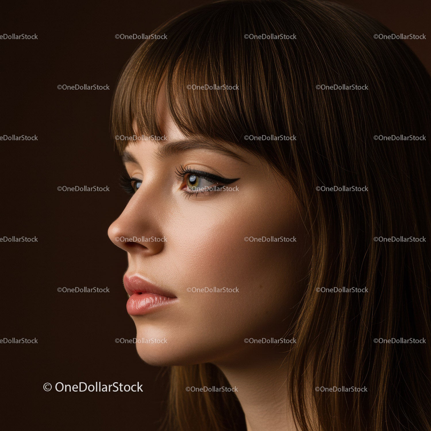 Elegant Female Portrait with Stylish Makeup and Glossy Hair
