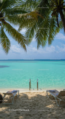 Tropical Beach Scene with Palm Trees and Turquoise Water