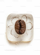 Coffee Bean Frozen Inside a Clear Ice Cube