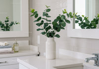 Elegant Green Fiddle Leaf Fig in Modern Minimalist Kitchen