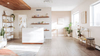 Bright Minimalist Living Room with Houseplants and Wooden Accents