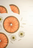 Fresh grapefruit slices with chamomile flowers on light background