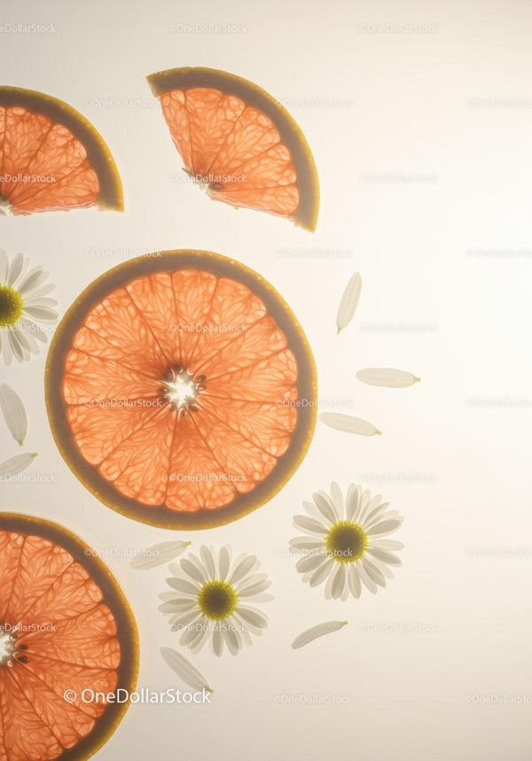 Fresh grapefruit slices with chamomile flowers on light background