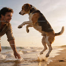 Man Playing Joyfully with Beagle Dog on the Beach