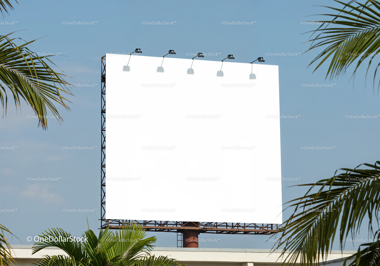 Blank billboard outdoors framed by tropical palm leaves