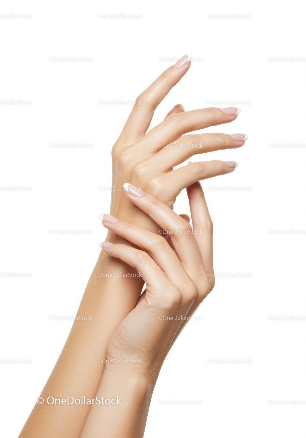 Eleganckie kobiece dłonie z klasycznym francuskim manicure