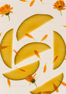 Sliced Melon with Vibrant Orange Flower Petals