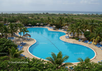 Scenic Tropical Resort with Curved Swimming Pool and Loungers
