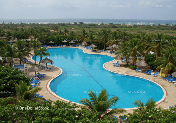 Scenic Tropical Resort with Curved Swimming Pool and Loungers
