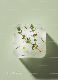 Square ice cube with herbs frozen inside on green