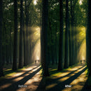 Dreamy Woodland XMP presets color grading preview