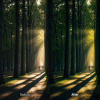 Dreamy Woodland XMP presets color grading preview