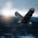 Majestic Bald Eagle in Flight Over Mountain Landscape
