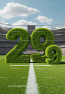 Lush green 29 degree symbol on a sports field