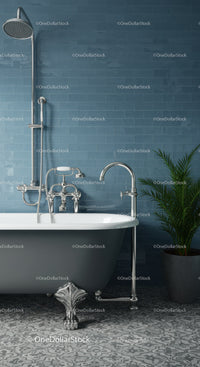 Classic clawfoot bathtub with chrome fixtures and plant