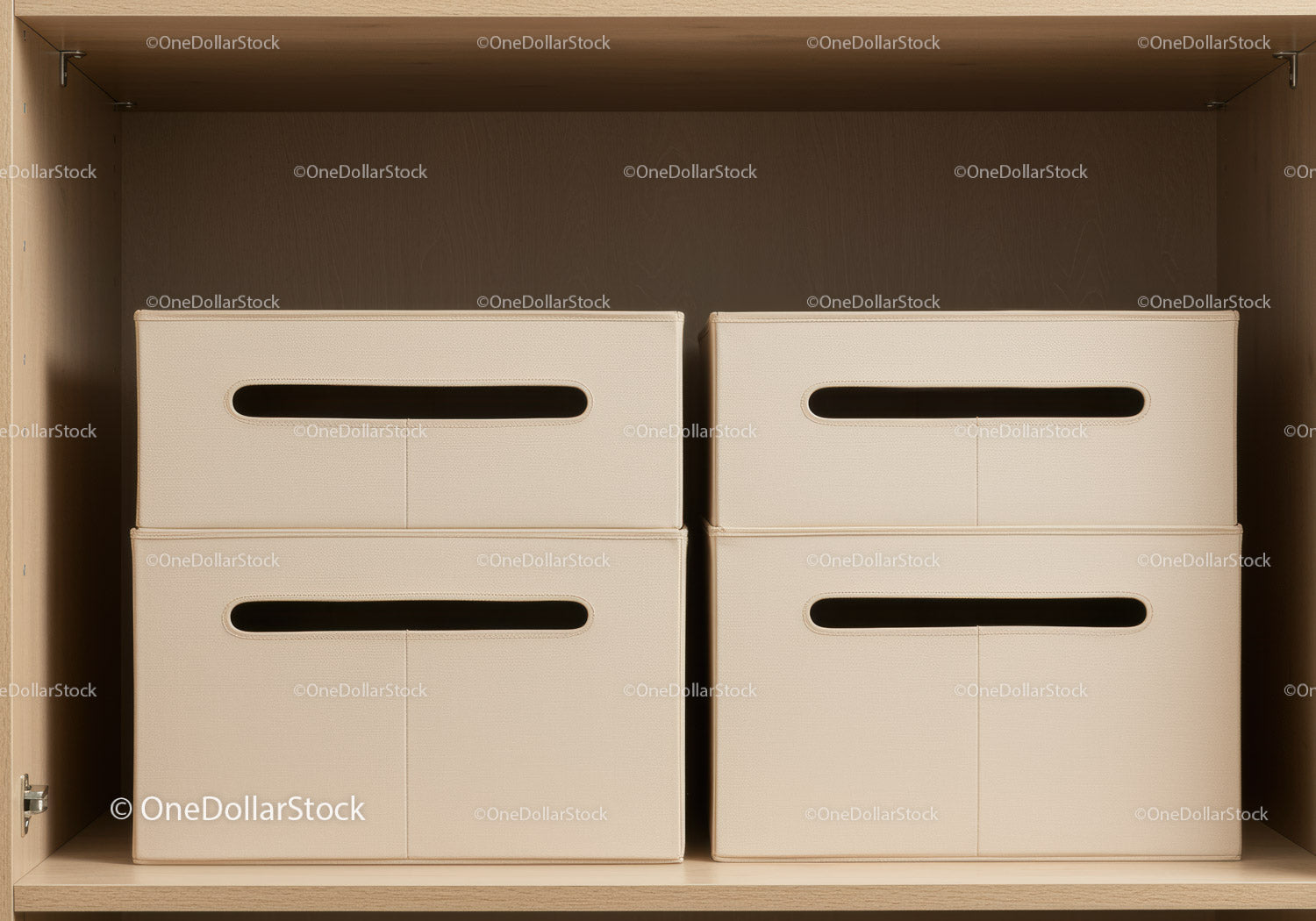 Modern Storage Boxes in Wooden Shelf for Home Organization