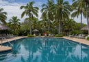 Luxurious Tropical Resort Swimming Pool Surrounded by Palm Trees