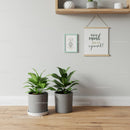 Indoor Greenery with Potted Plants and Wall Art for Modern Homes