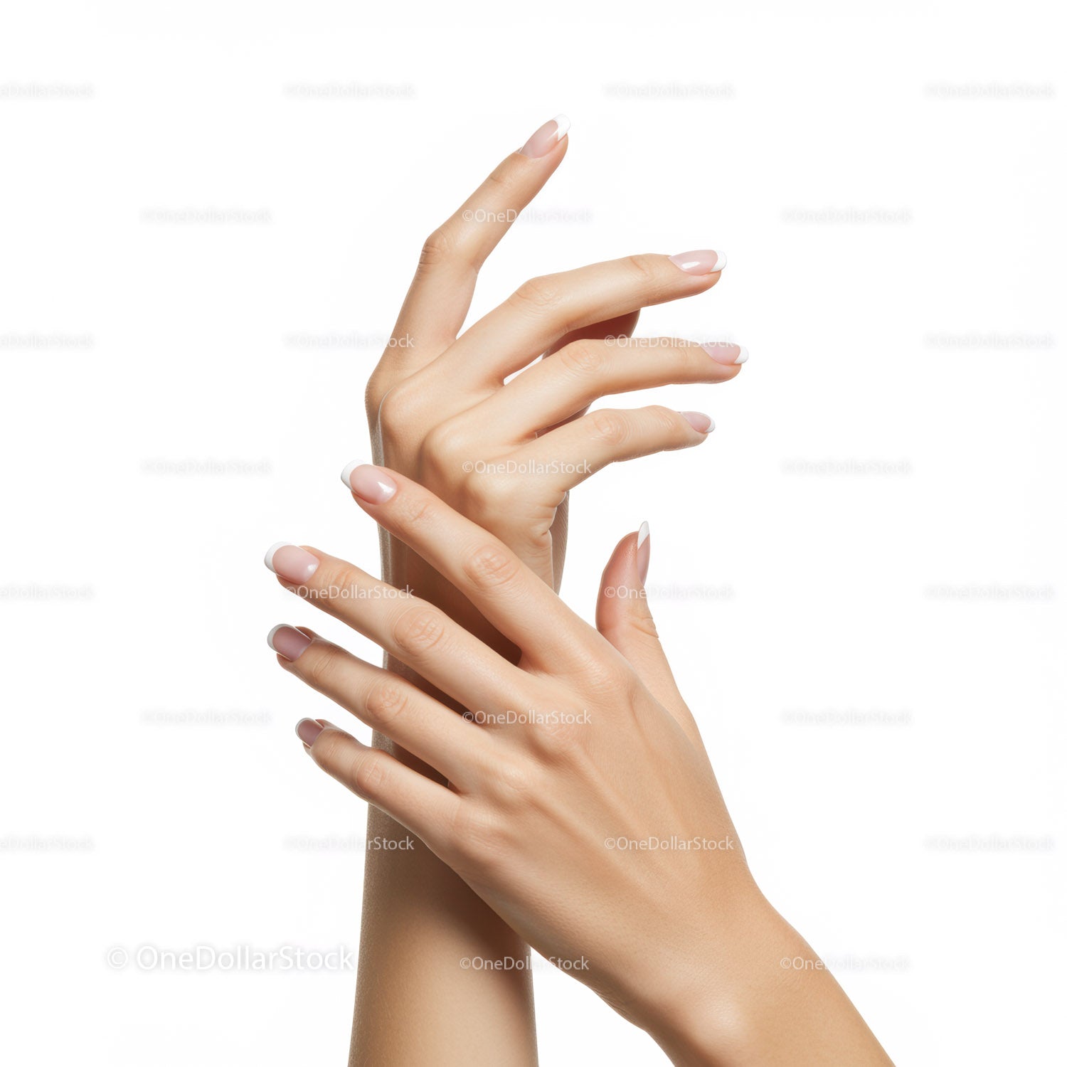 Elegant hands with natural French manicure on white background