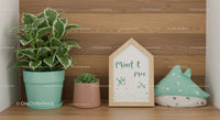 Decorative Indoor Plants with Succulent and Green Foliage in Modern Home