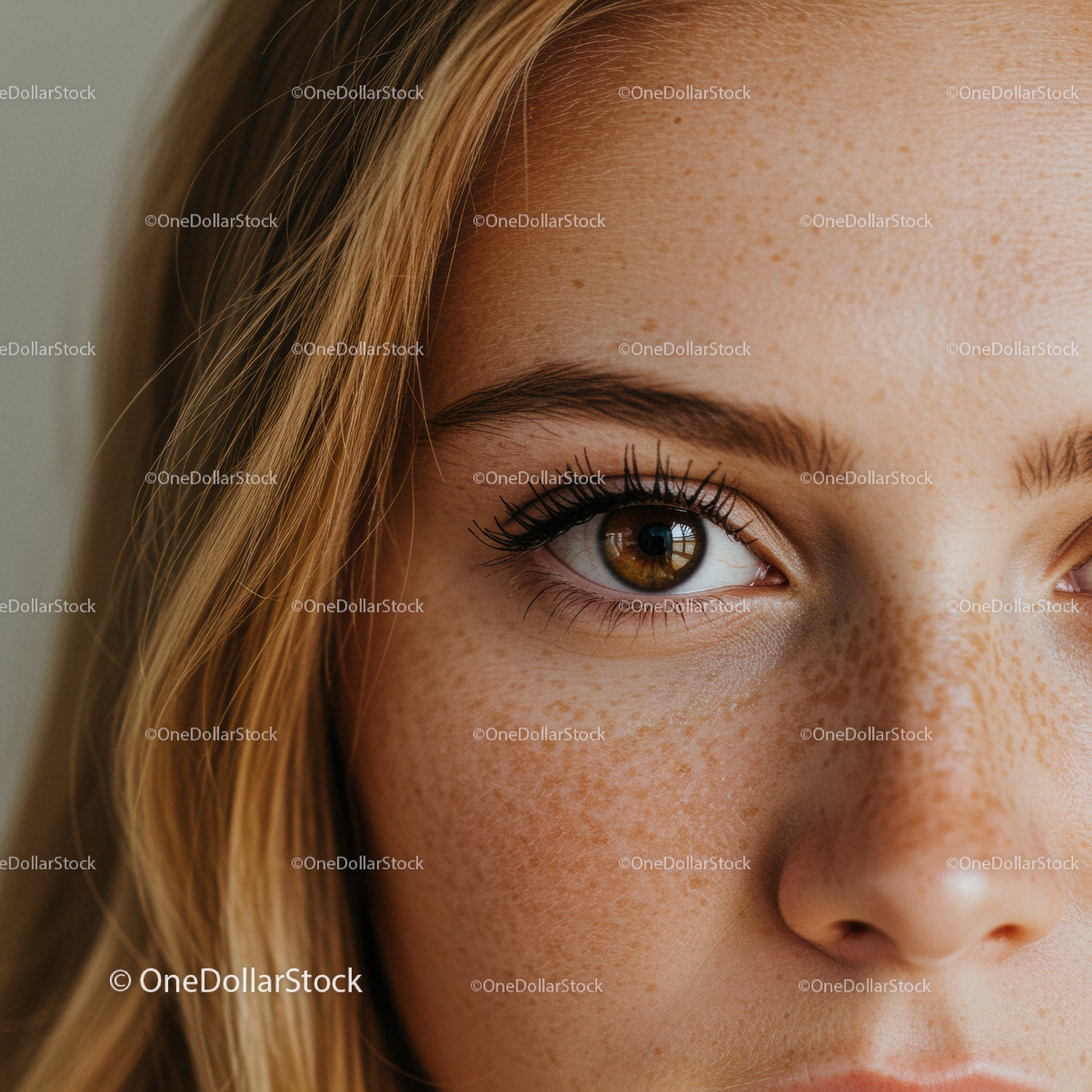 Close up of young woman with natural freckles and brown eyes