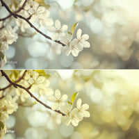 Before and after Spring Colors LUT Pack effect