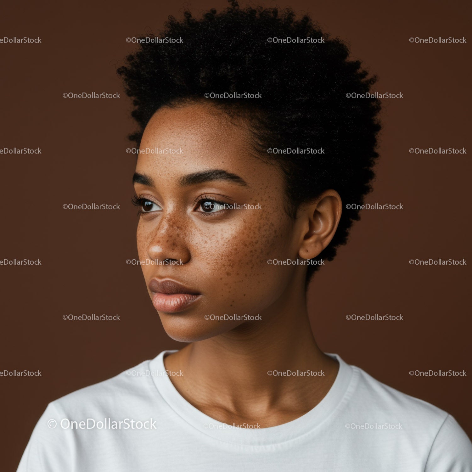 Close-Up Portrait of a Confident Woman with Natural Afro Hair