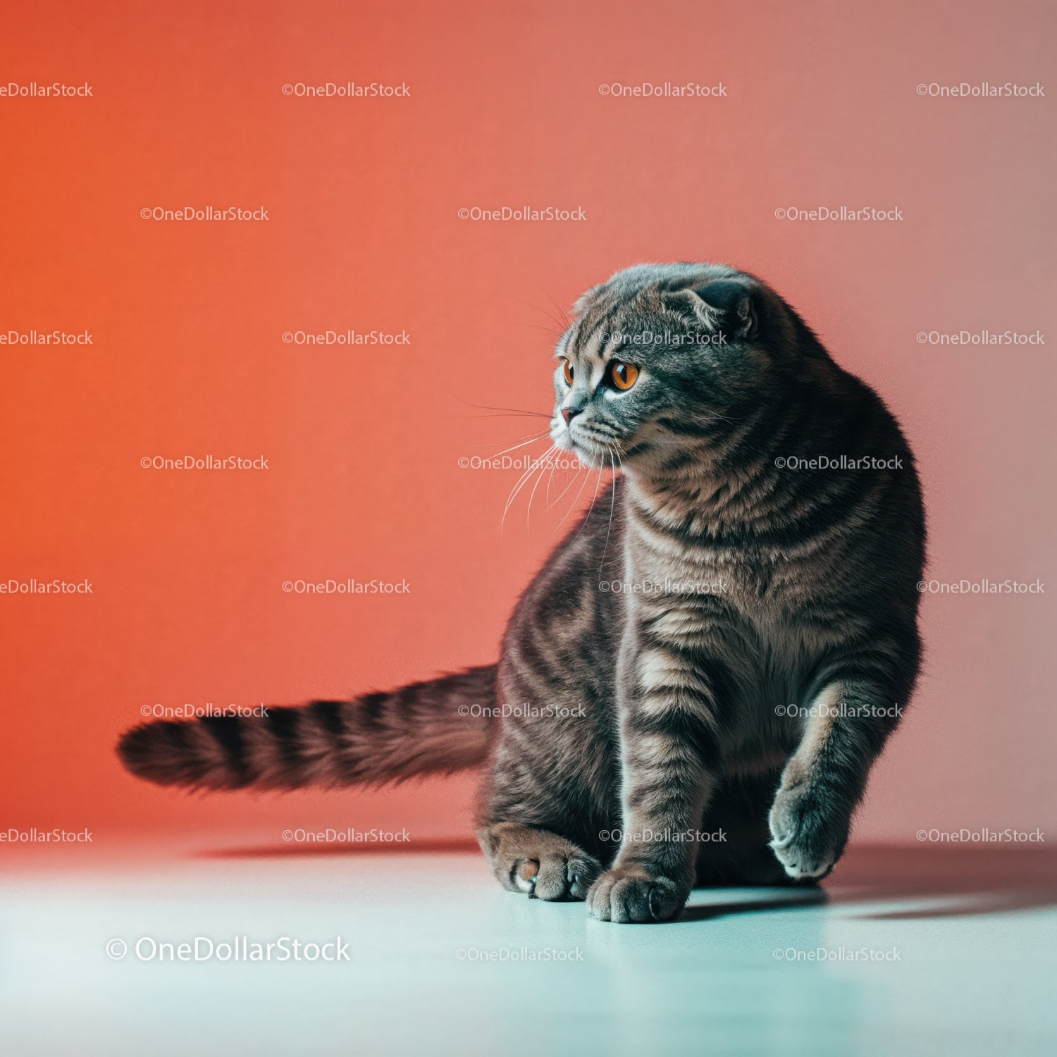 Playful Grey Tabby Cat in a Dynamic Pose with Striped Fur