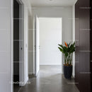 Minimalist Interior Hallway with Indoor Plant and Open Door