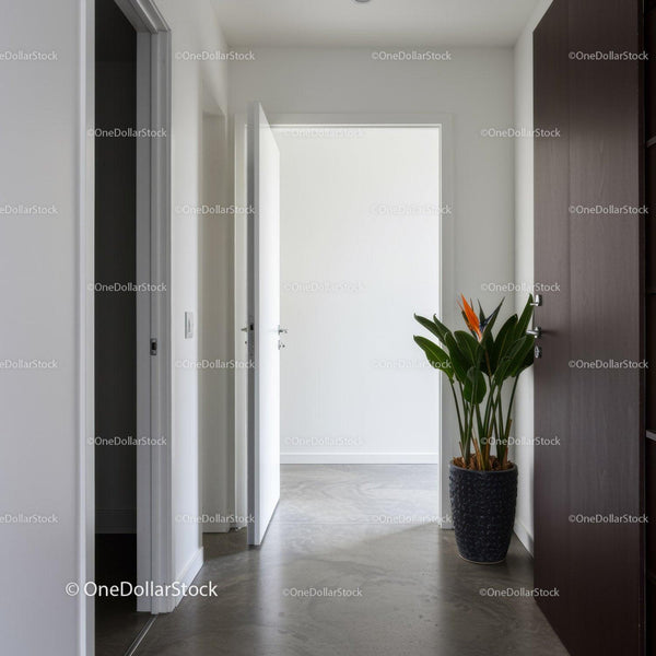 Minimalist Interior Hallway with Indoor Plant and Open Door