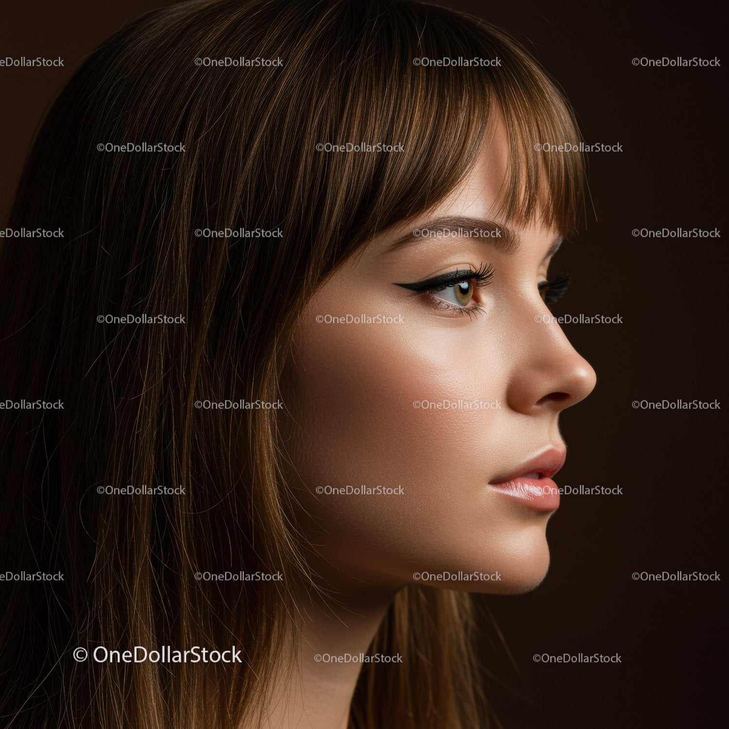 Elegant Woman with Brown Hair and Smoky Eye Makeup Portrait