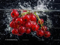 Red Currants Berries Splashing in Water Fresh Fruit Photo