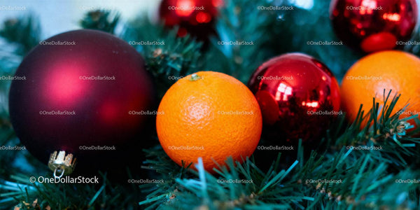Fresh Oranges Among Classic Christmas Tree Ornaments