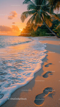 Sunset Over Tropical Beach with Palm Trees and Clear Ocean Water