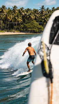 Surfer Riding Ocean Wave Near Tropical Palm Beach