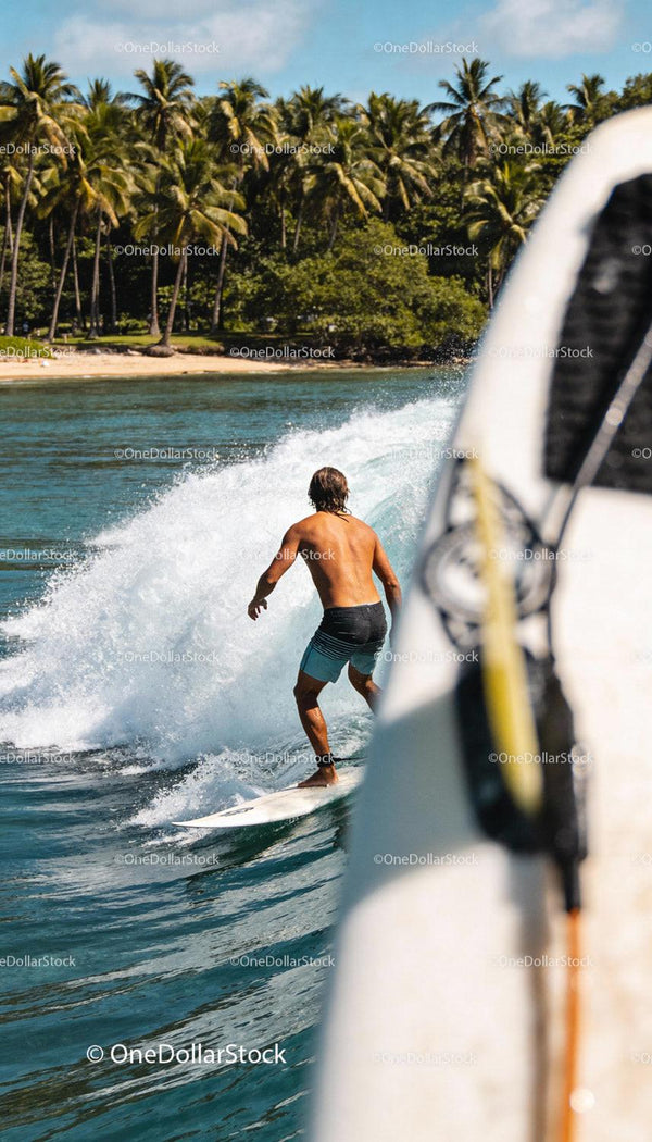 Surfer Riding Ocean Wave Near Tropical Palm Beach