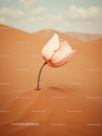Delicate flower bloom rising from desert sand dunes