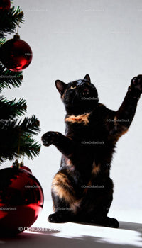Playful cat reaching near decorated Christmas tree