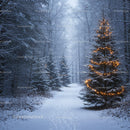 Snowy forest path with Christmas trees lit warmly