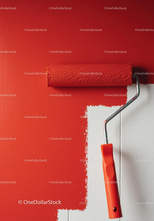 Red Paint Wall with Roller in Modern Interior for Home Renovation
