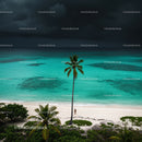 Serene Tropical Beach with Palm Tree and Turquoise Waters