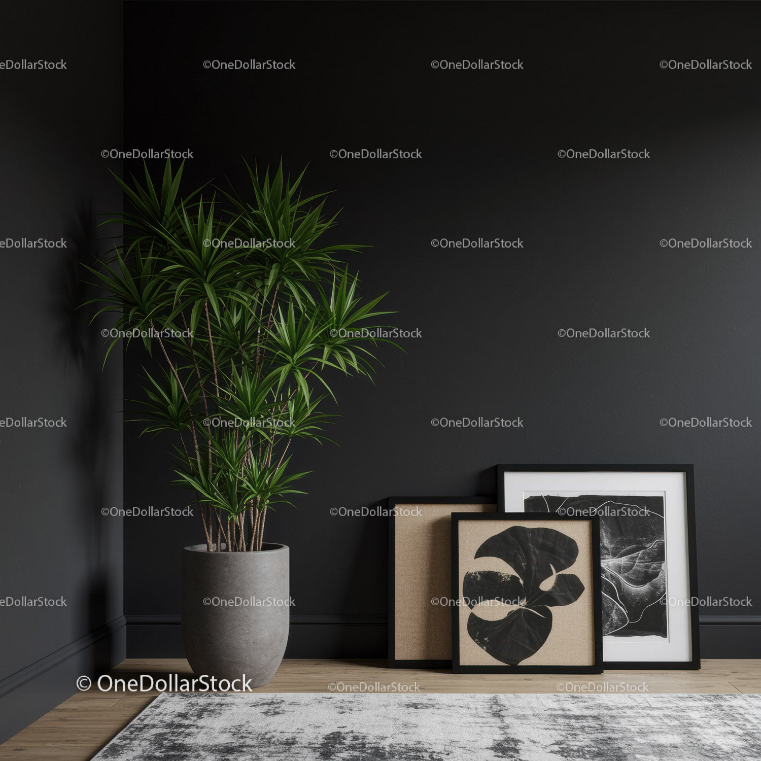 Wysoka, zielona dracena z oprawionym dziełem sztuki botanicznej w nowoczesnym wnętrzu